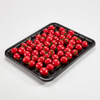 Clear PET Tray for Fresh Food Display – Hygienic, Durable & Customizable Packaging