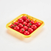 Durable Multi-Compartment PET Tray for Food Packaging – Custom Sizes, Hygienic & Recyclable
