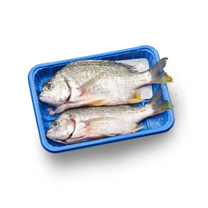 Seafood Packaging Absorbent Pad for Plastic Trays | PP+PE Moisture-Lock Food Soaker Pad