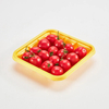 Clear Multi-Compartment PET Tray for Fresh Food Packaging – Customizable & Eco-Friendly Solution
