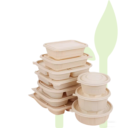 Biodegradable Packaging