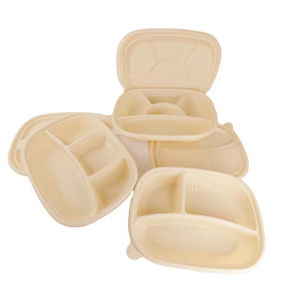Biodegradable Cornstarch Takeaway Food Containers with Lids | Wholesale Eco Packaging Manufacturer