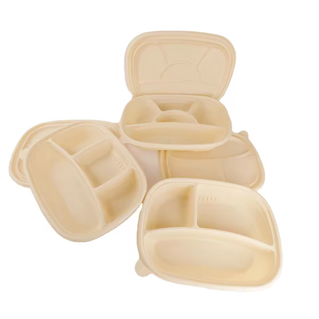 Biodegradable Cornstarch Takeaway Food Containers with Lids | Wholesale Eco Packaging Manufacturer