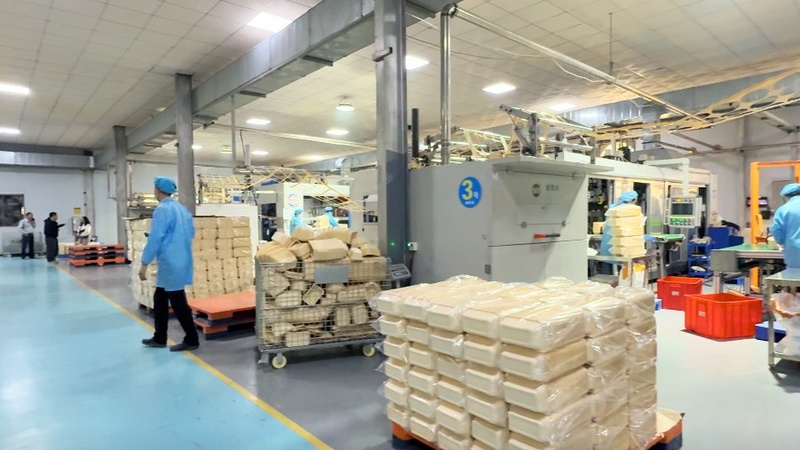 biodegradable-packaging-production-line